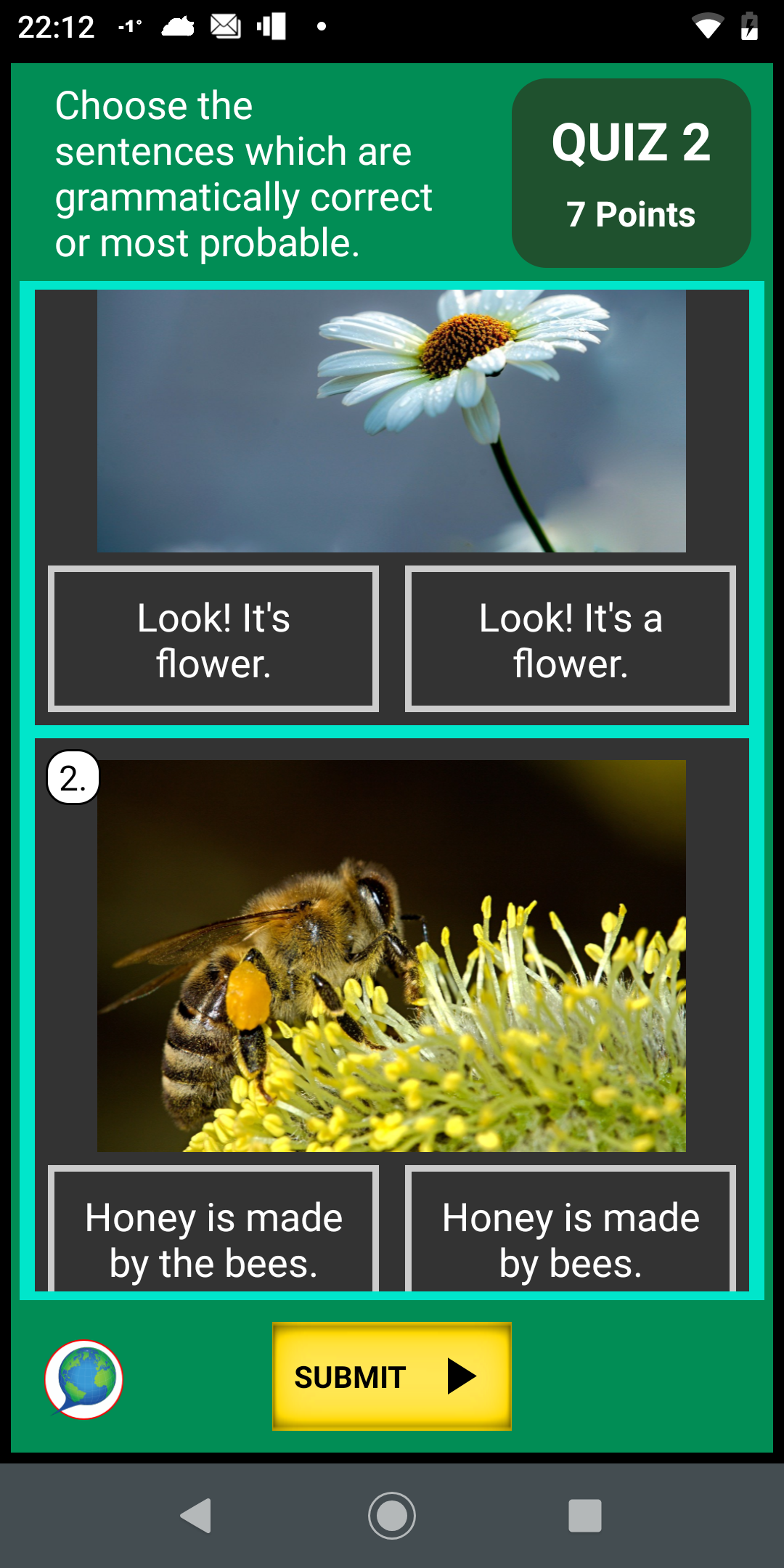 Video picture quiz