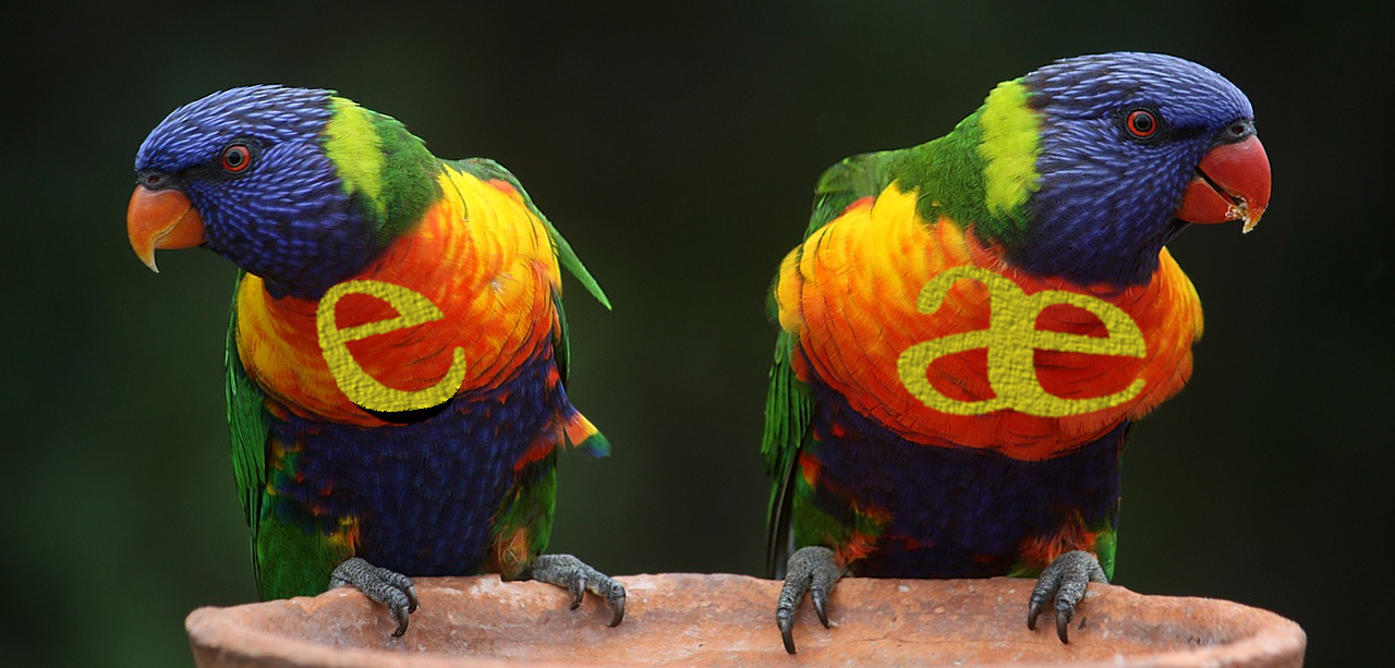 A picture of a pair of parrots